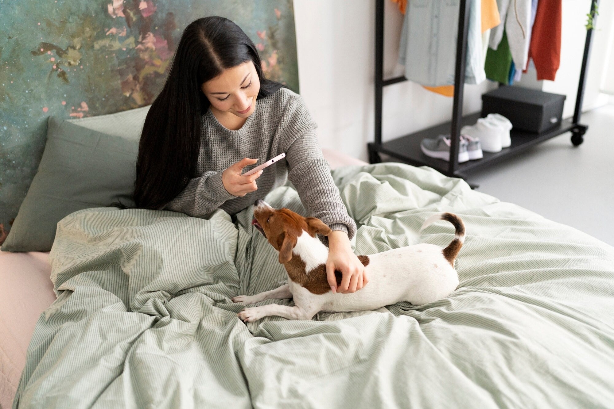 Creating a Cozy Sleeping Space for Your Pet